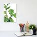 East Urban Home Fiddle Fig II by Jennifer Paxton Parker - Wrapped Canvas Gallery-Wrapped Canvas Giclée Canvas | 12 H x 8 W x 0.75 D in | Wayfair