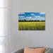 East Urban Home Yellow Flowers of Rapeseed Field, near Methven & Mt. Hutt, Mid Canterbury | 18 H x 26 W x 1.5 D in | Wayfair