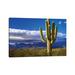 East Urban Home Saguaro Nationla Park East by Susanne Kremer - Wrapped Canvas Photograph Canvas | 8 H x 12 W x 0.75 D in | Wayfair