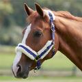 SmartPak Deluxe Removable Fleece Lined Breakaway Halter - Horse - Navy - Smartpak