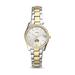 Women's Fossil Silver/Gold Northern Kentucky University Norse Scarlette Mini Two-Tone Stainless Steel Watch