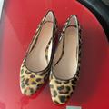 J. Crew Shoes | J.Crew Real Fur- Dyed Calf Hair Flats, Size 7 | Color: Brown | Size: 7