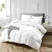 Alwyn Home All Season Goose Feather & Down Duvet insert Shell Comforter Down/Down & Feather Blend//Goose Down in White | Wayfair