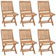 vidaXL Folding Garden Chairs 6 pcs Solid Teak Wood