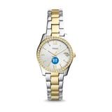 Women's Fossil Silver SUNY Fashion Institute of Technology Tigers Scarlette Mini Two-Tone Stainless Steel Watch