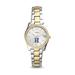 Women's Fossil Silver Hamilton Continentals Scarlette Mini Two-Tone Stainless Steel Watch