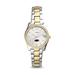 Women's Fossil Silver Claflin Panthers Scarlette Mini Two-Tone Stainless Steel Watch