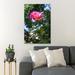 Rosdorf Park Pink Rose In Bloom During Daytime 29 - 1 Piece Rectangle Graphic Art Print On Wrapped Canvas in Blue/Green/Pink | Wayfair