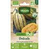 Courge Delicata - BIO