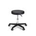 Inbox Zero Ignasi Height Adjustable Lab Stool Metal | 26 H x 15 W x 15 D in | Wayfair 74BFA30F76E04A1D8C861330C8528CDE