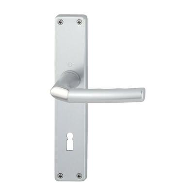 Langschildgarnitur Birmingham 1117/202SP Aluminium F1 ob 72 mm din links / rechts Image