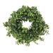 16" Spring Button Leaf Table Wreath by National Tree Company - 16 in