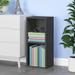 Way Basics 2 Tier Display Case Storage Cube Unit (Tool-free Assembly)