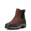 Ariat Women's Terrain Blaze H20 - 7 - Dark Brown - Smartpak