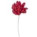 Vickerman 686041 - 6" Red Maize Dahlia on 18" stem 6/bg (H7MAD475) Dried and Preserved Flowering Plants