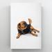 MentionedYou Brown Pug In Black Clothes White Backdrop - 1 Piece Rectangle Graphic Art Print On Wrapped Canvas in Black/Brown/White | Wayfair