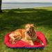 FurHaven Packable Stuff Sack Travel Pet Bed Polyester in Red/Blue | 2 H x 39 W x 30 D in | Wayfair 38467675