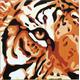 Gobelin L Tapestry/Needlepoint Kit - Tiger Print