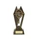 Wooden Spoon Award Trophy - Personalised engraving - Customise insert