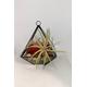 Air plant Terrarium diamond including air plant and décor as shown beautiful and stylish living art for home or office