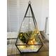 DIY air plant terrarium, glass terrarium, with LED lights, bronze frame. Air plant with terrarium plant. Christmas gift. Mother's Day