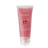 PERLIER - Gelee Scrub Rinnova E Rigenera Scrub viso 100 ml female