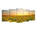 Gracie Oaks Sunflowers 5 Panels Landscape - 5 Piece Wrapped Canvas Photograph Set Canvas, Wood in Orange/Yellow | 24 H x 50 W x 0.8 D in | Wayfair