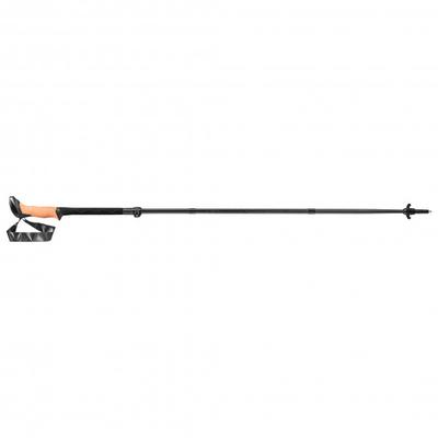 Leki - Black Series FX Carbon - Trekkingstöcke Länge 110-130 cm schwarz/ naturalcarbon