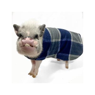 Morty's Pig Clothes Fleece Strap Pig Sweater, Navy Plaid, X-Small