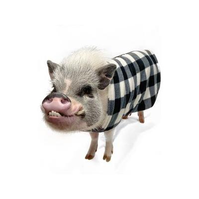 Morty's Pig Clothes Fleece Strap Pig Sweater, White Plaid, Medium