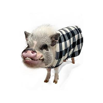 Morty's Pig Clothes Fleece Strap Pig Sweater, White Plaid, Medium