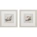 HomeRoots Conch Shell - 2 Piece Picture Frame Painting Set | 11 H x 11 W x 1 D in | Wayfair 1000401397