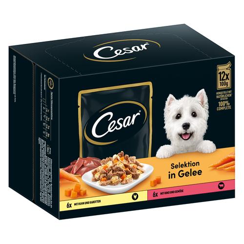 24x 100g Cesar Selektion Fleisch und Gemüse in Gelee Hundefutter nass