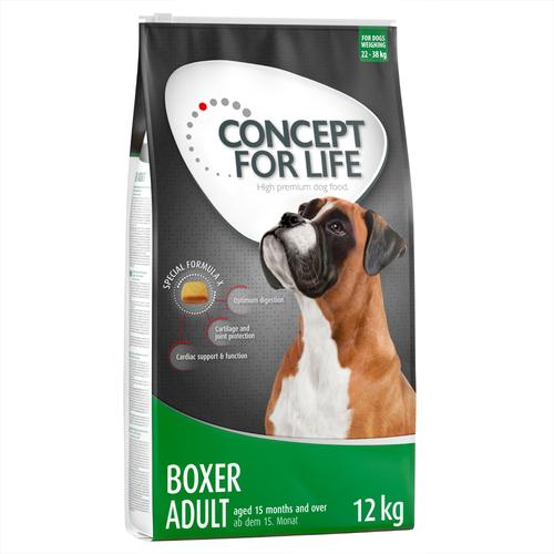 2x12 kg Boxer Adult Concept for Life Hundefutter trocken