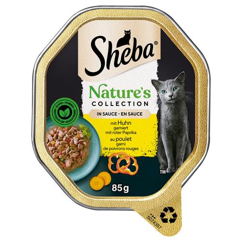 44x 85g Sheba Nature´s Collection in Sauce mit Huhn Katzenfutter nass