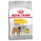 2x12kg Royal Canin CCN Dermacomfort Medium Hundefutter trocken