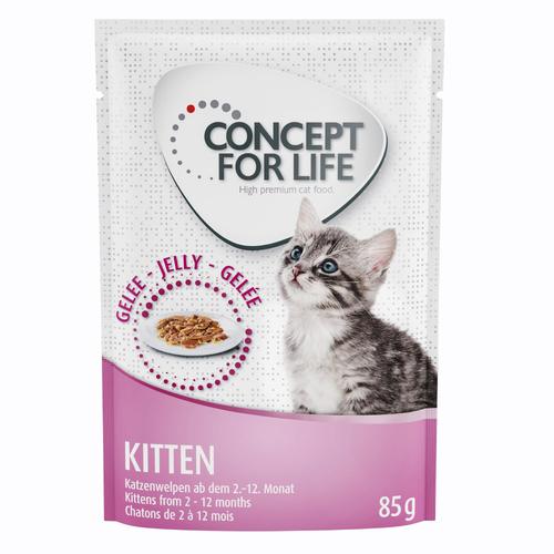 48x85g Kitten in Gelee Concept for Life Katzenfutter nass