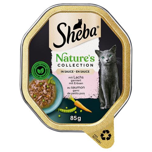 44x 85g Sheba Nature´s Collection in Sauce mit Lachs Katzenfutter nass