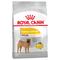 12kg Royal Canin CCN Dermacomfort Medium Hundefutter trocken