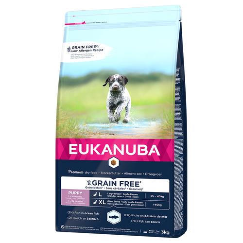 3kg Eukanuba Grain Free Puppy Large Breed mit Lachs Hundefutter trocken