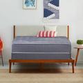 Firm 13" Hybrid Mattress - Alwyn Home Bahira & Box Spring, Cotton | 75 H x 44 W 13 D in Wayfair 06B0B83ADF9D4EEC9E8D94317FFBA98C