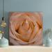 Rosdorf Park Close-Up Photography Of Beige Rose Flower - 1 Piece Rectangle Graphic Art Print On Wrapped Canvas Canvas | 16 H x 16 W x 2 D in | Wayfair