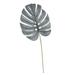 Primrue Artificial Frosted Philodendron Monstera Leaf Stem Plastic | 28 H x 11 W x 0.25 D in | Wayfair 7E430D36544E4C989A4720460E500C56