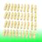Household Laundry Natural Bamboo Beige Clothes Pins Pegs Hanging Clips 40 Pcs