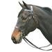 Henri de Rivel Advantage Hunt Bridle - Horse - Havana - Smartpak