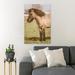 Gracie Oaks A Horse w/ Frizzy Hair - 1 Piece Rectangle Graphic Art Print On Wrapped Canvas in Brown/Green | 20 H x 16 W x 2 D in | Wayfair