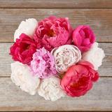 Pegasus Peony Bouquet - Original - The Bouqs Co.