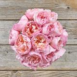 Delicate Premium Bouquet - Deluxe - The Bouqs Co.