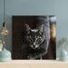 Latitude Run® Gray Tabby Cat Lying On Gray Textile - 1 Piece Square Graphic Art Print On Wrapped Canvas in Black/Gray | Wayfair