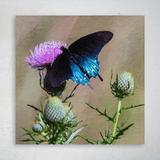 Gracie Oaks Blue & Black Butterfly On Purple Flower - 1 Piece Rectangle Graphic Art Print On Wrapped Canvas in Black/Green/Indigo | Wayfair